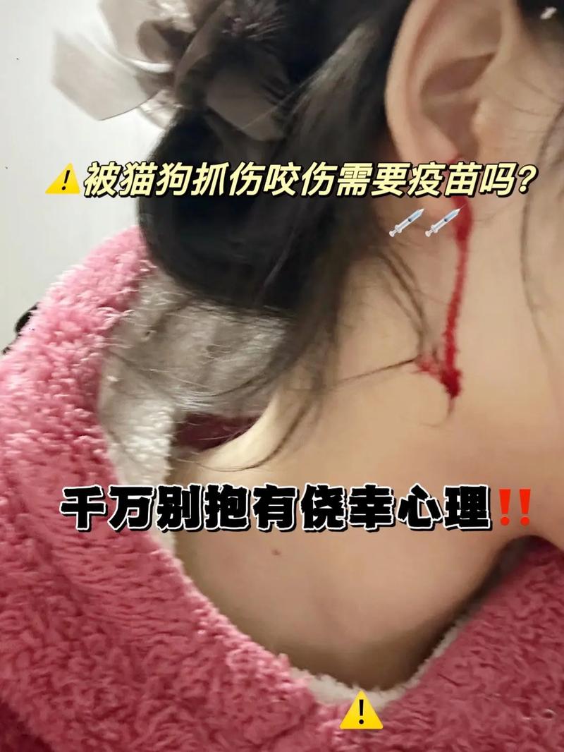 地方关注 第11页