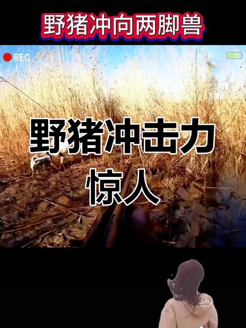 生活资讯 第4页