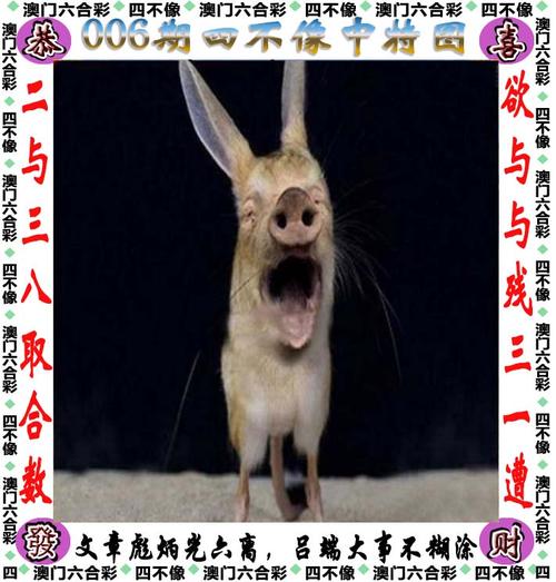 澳门今晚开特马四不像图/2025澳门今晚开奖结果