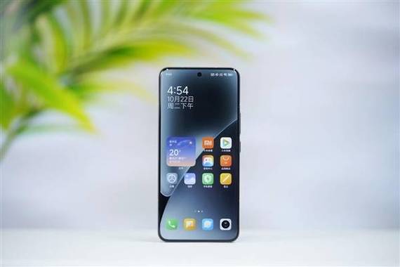 42862澳彩资料大全:小米15SPro手机外观