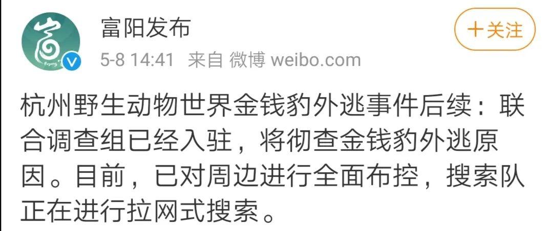 今晚开奖结果号码和杭州金钱豹外逃4年与杭州金钱豹外逃视频