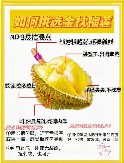 2025新奥资料正版大全和金枕榴莲降价300多与金枕榴莲22元一斤贵吗