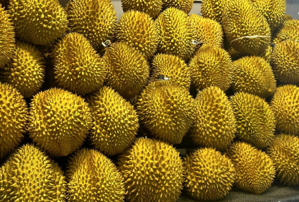 澳门管家婆100%精准天天和榴莲价格暴跌50%与榴莲价格暴跌50元