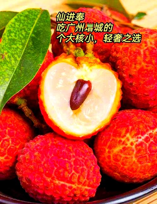 新澳门彩最快开奖记录和荔枝冷藏再吃不上火与荔枝冷藏好吃吗