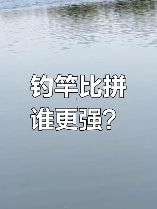 新澳门精准免费大全和保护区里的疯狂垂钓与保护区里的疯狂垂钓是什么