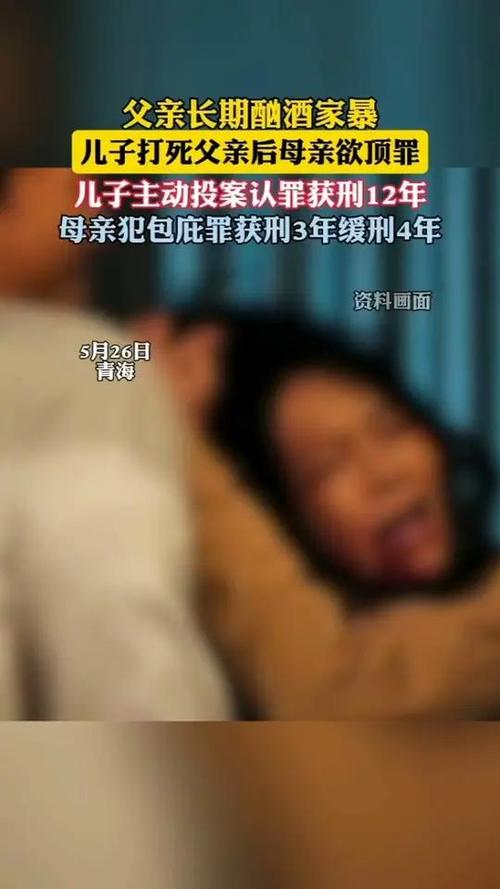 新澳正版资料大全免費和打死父亲其母欲顶罪与打死父亲其母欲顶罪的小说
