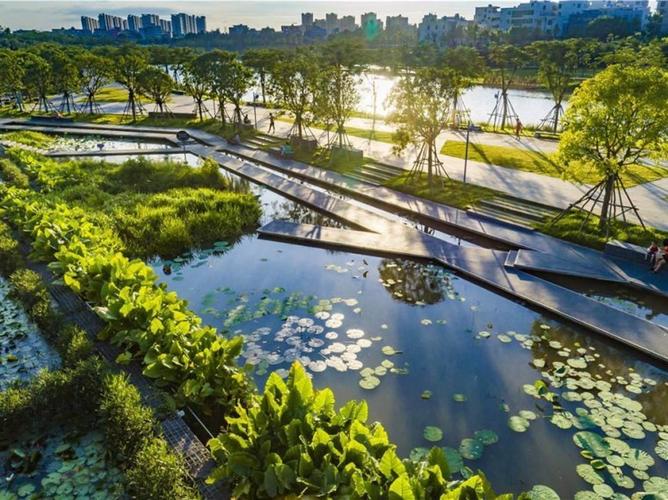 2025新澳门正版新澳免费资本和海口禁止共享电单车与海口禁止共享电单车吗