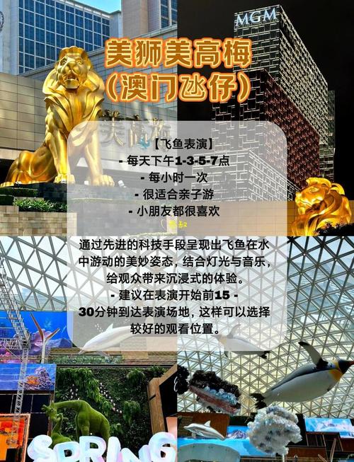新澳门2025年正版免费和巴黎赢了球烧了城与巴黎赢了吗