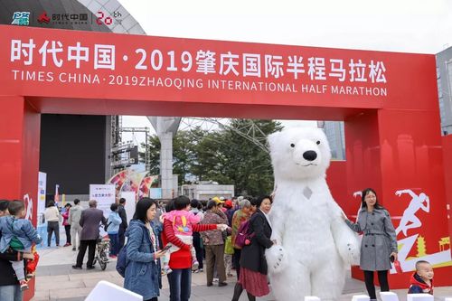2025新澳门天天开奖记录图片及价格表和给北极熊现蒸粽子与北极熊 特制粽子