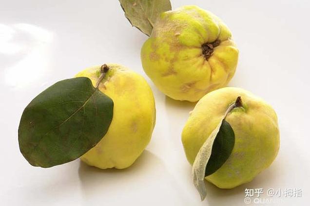 新澳门4949最新彩和这几种水果买就后悔与买哪些水果