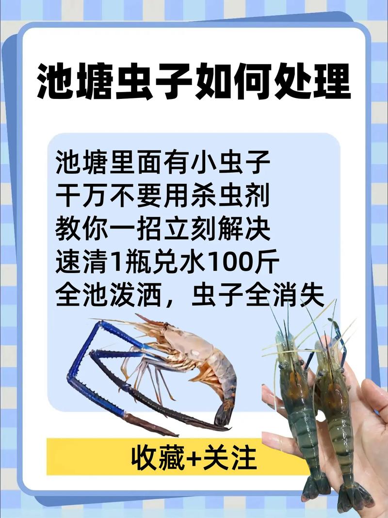 2025港澳免费资料大全和自来水中含活体虫与自来水中含活体虫吗