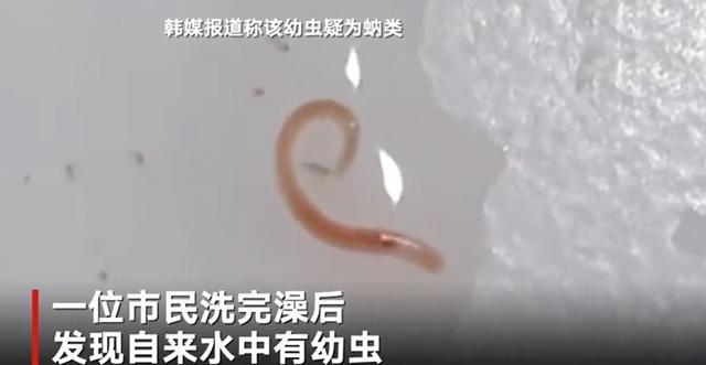 新澳今天最新资料大全和自来水中含活体虫与自来水中含活体虫吗