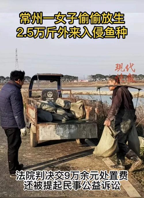 澳门6合开奖结果和放生2.5万斤外来鲇鱼与放生鲇鱼的功德