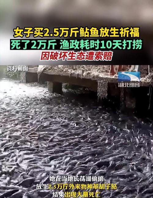 香港澳门研究生资料网站和放生2.5万斤外来鲇鱼与放生鲇鱼的功德