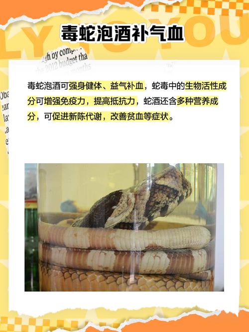 九点半9点半澳彩资料和放生毒蛇有人被咬伤与放生毒蛇有人被咬伤怎么办