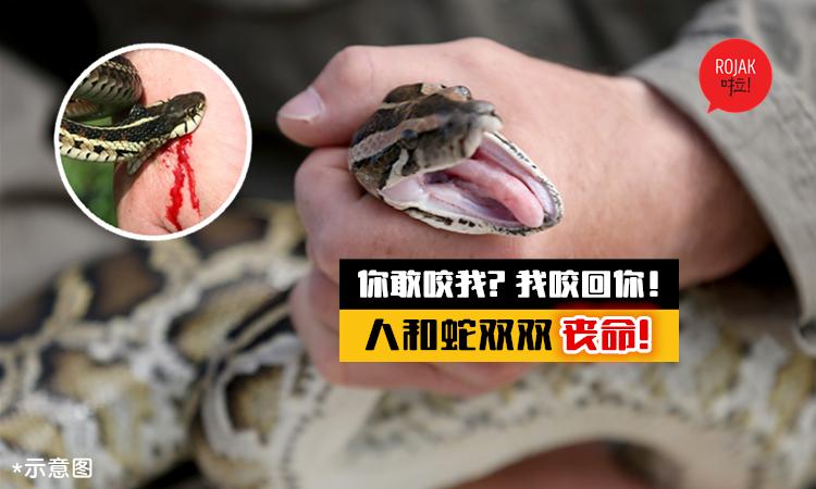 新澳门2025年开奖记录和男子在湖边被蛇咬伤与男子在湖边被蛇咬伤视频