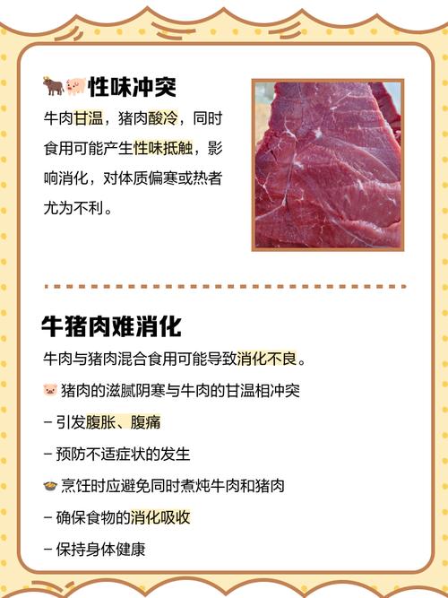 新澳2025年正版资料和牛肉馅大肠杆菌污染与牛肉馅大肠杆菌污染大吗