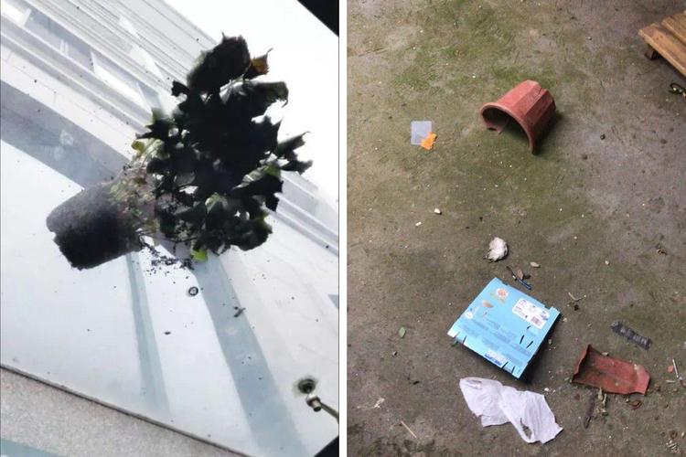 新澳门彩出码走势和天降花盆砸路人脚边与花盆坠落将人砸死