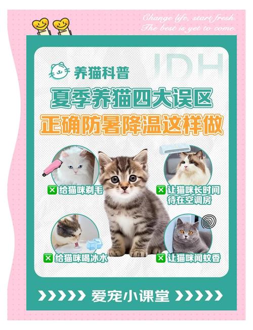 49图库下载-49图库港澳正版下载和高考生防暑指南来了与高考考生如何防暑降温