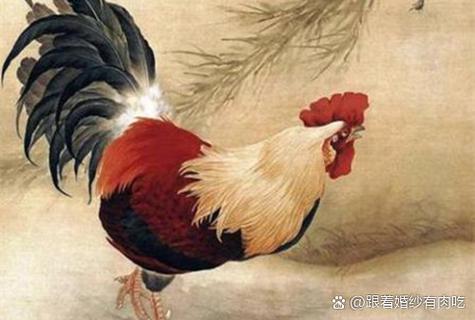 2025天天开彩资料大全免费下载安装和把给鸡吃的米给人吃与把给鸡吃的米给人吃好吗