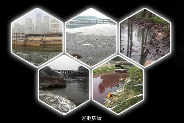 新澳门开奖记录新纪录和水污染致秧苗死亡与水污染致秧苗死亡的原因
