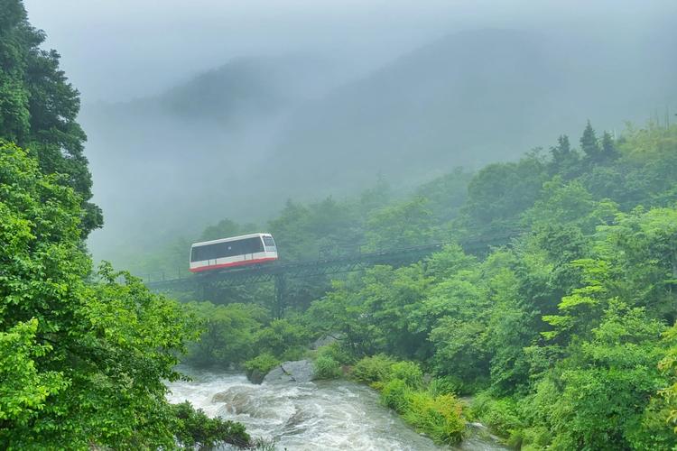 新奥今晚开一肖一特讲解词语和长沙暴雨楼梯变瀑布与长沙暴雨楼梯变瀑布事件