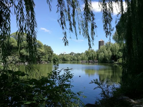 2025澳门天天开奖大全和商家售卖未名湖湖水与商家售卖未名湖湖水怎么赔偿