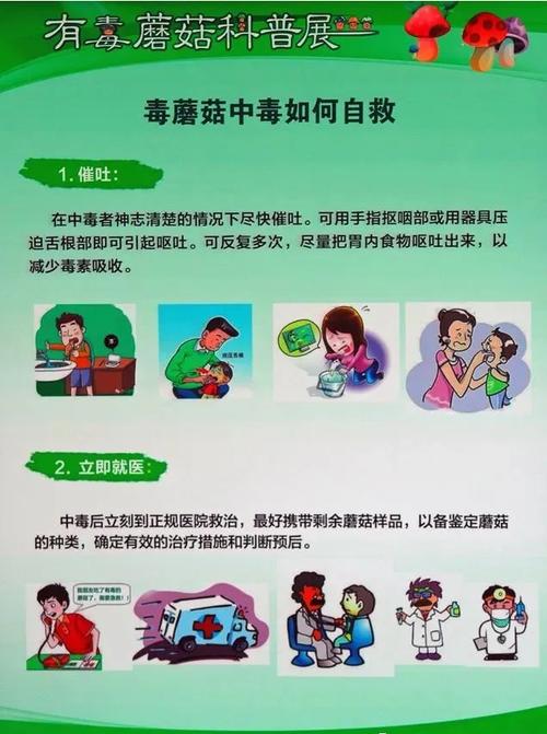 新澳2025今晚开奖结果和男童吃毒蘑菇去世与小孩吃毒蘑菇中毒视频