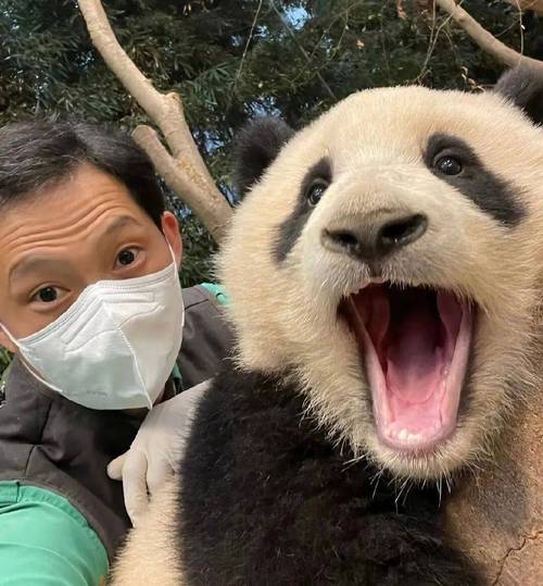 今天澳门晚9点35开特和双胞胎考场外跪爷爷与双胞胎兄弟跪求母亲回家
